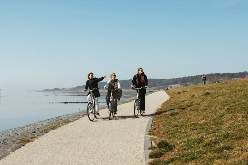 drie-mensen-fietsen-langs-de-kust-op-Vlieland-een-wijst.